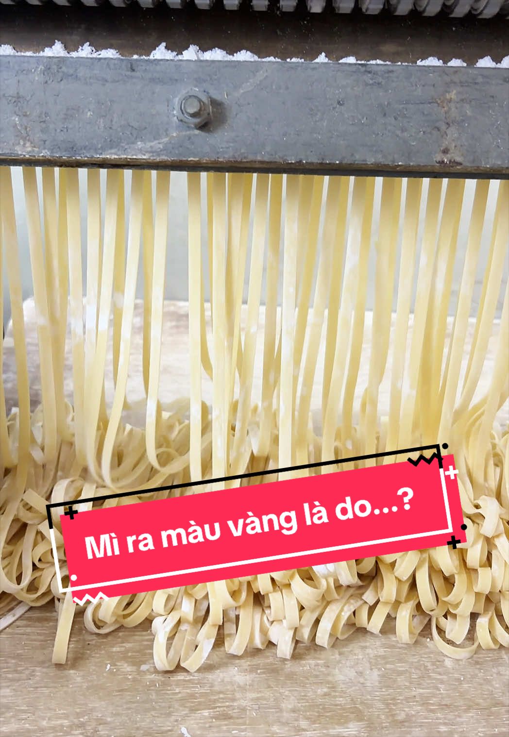 @Mì Tươi Chính Ký