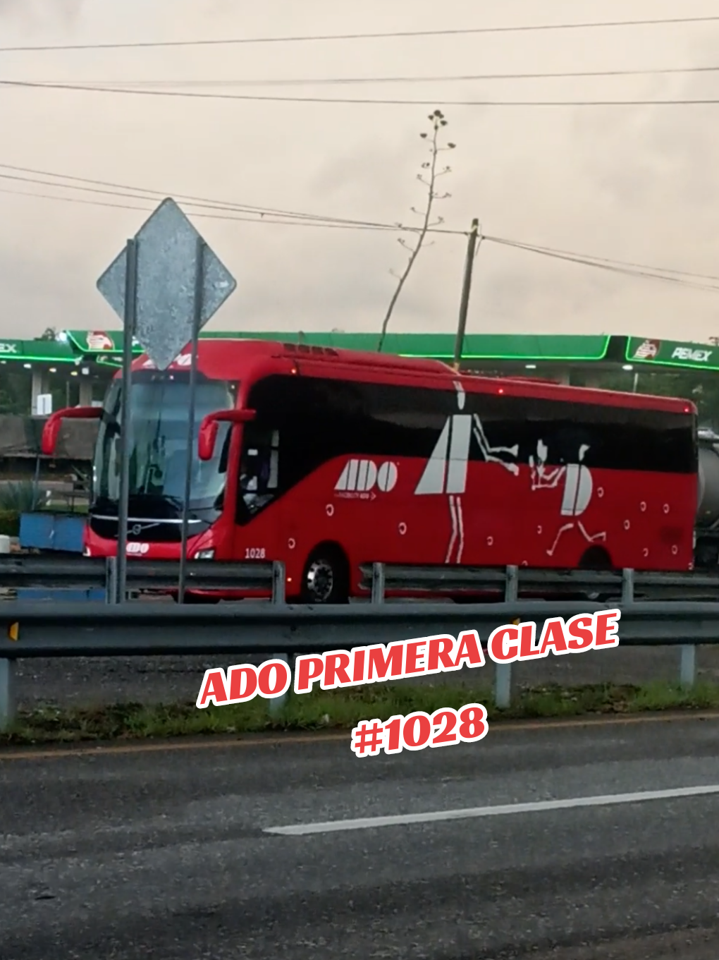 @Busologia Veracruzana 🍀🚍