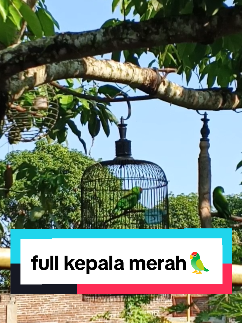 @PJr. EXPLORE