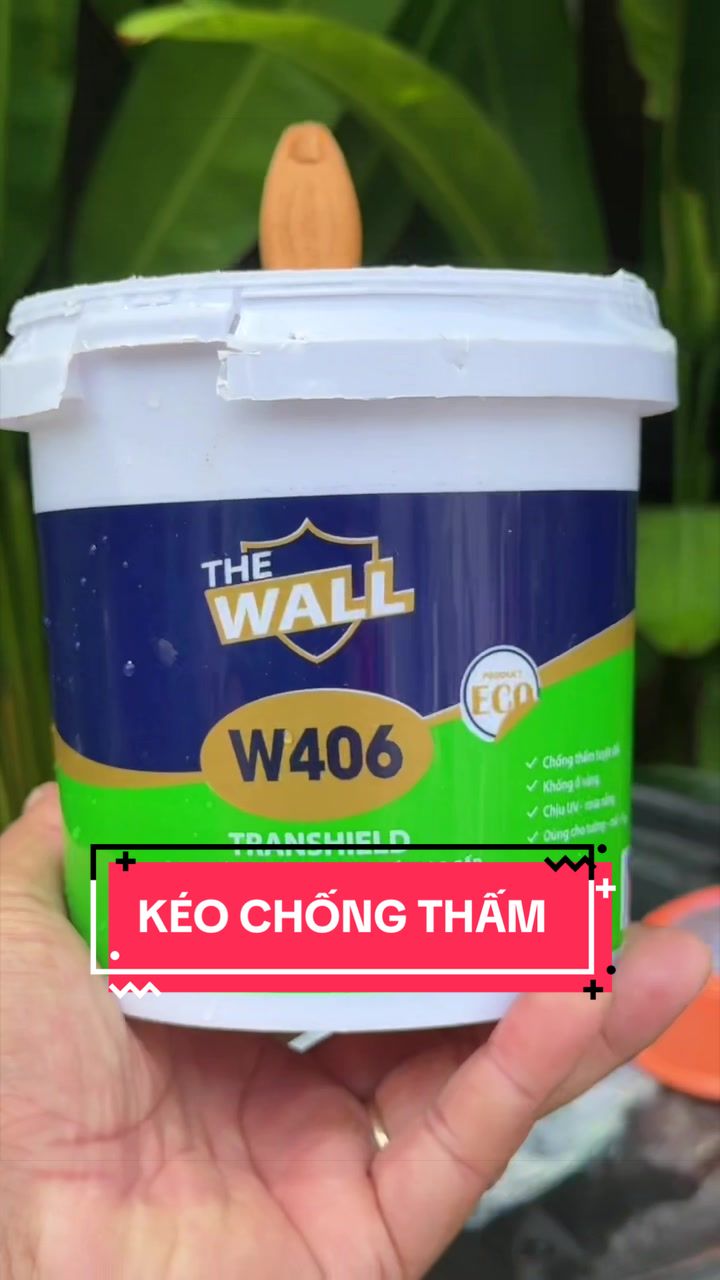 @C&acirc;y Xanh Phong Hồng