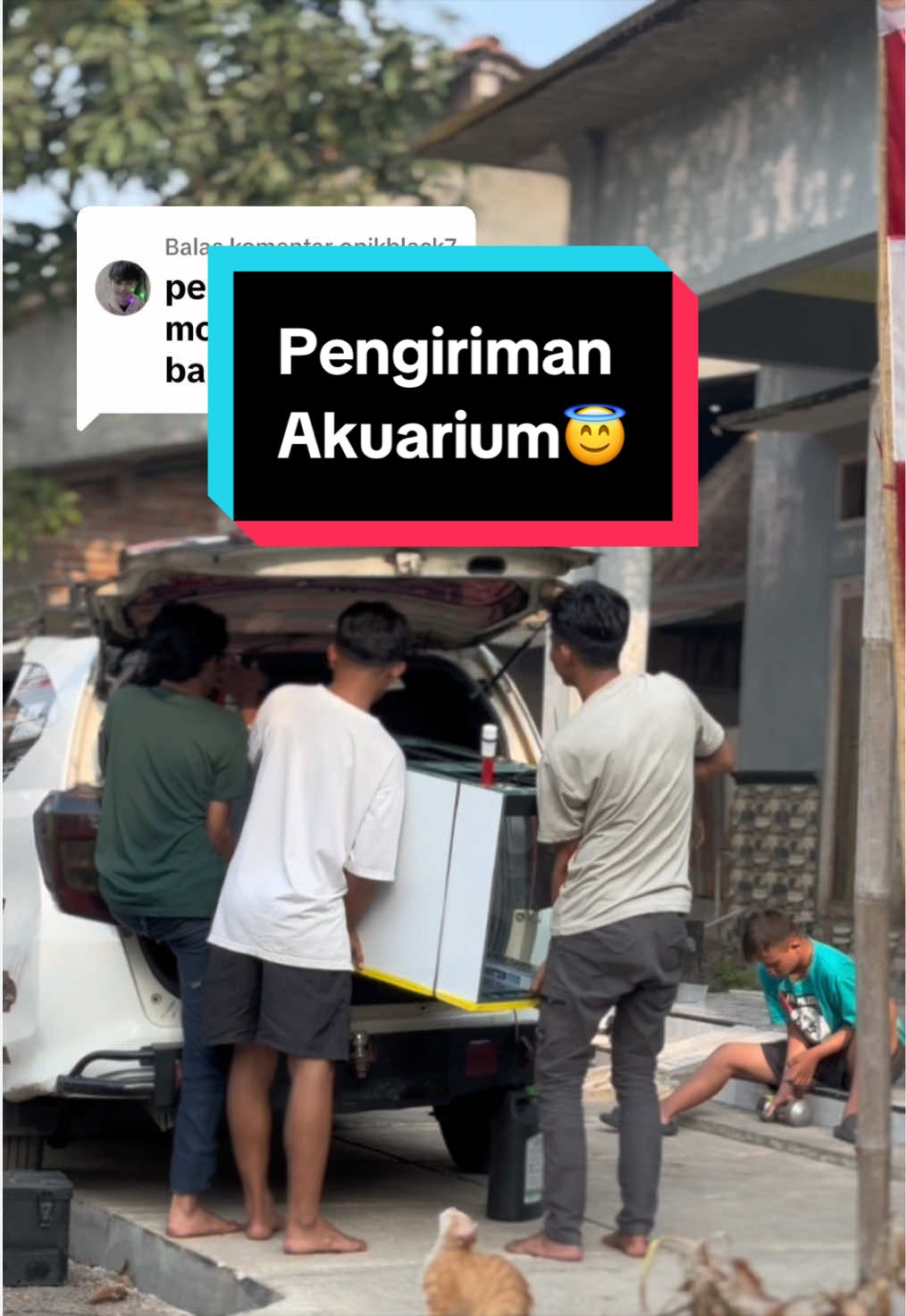@Panjul Aquafish