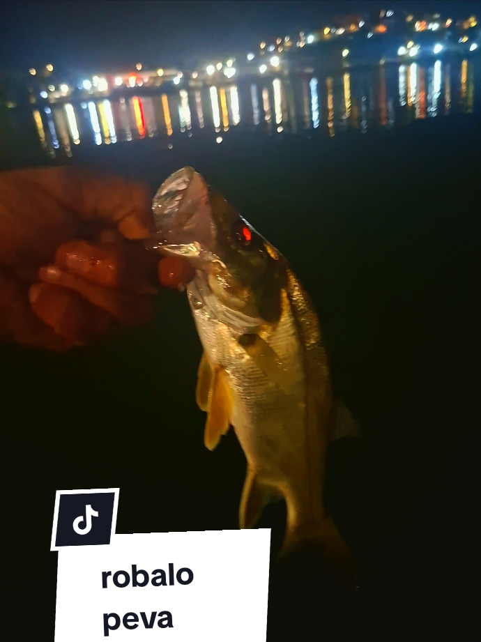 @Washington kayak fish