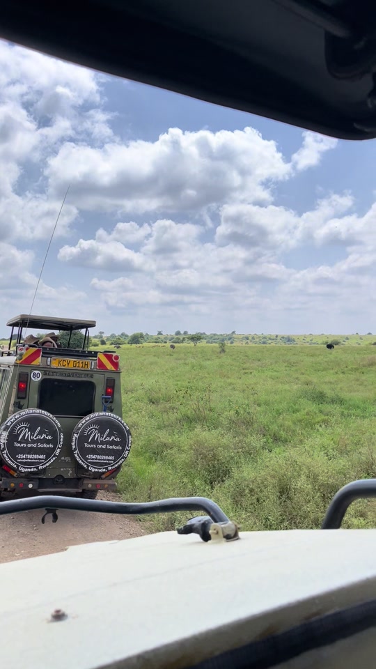@Milana Tours and Safaris