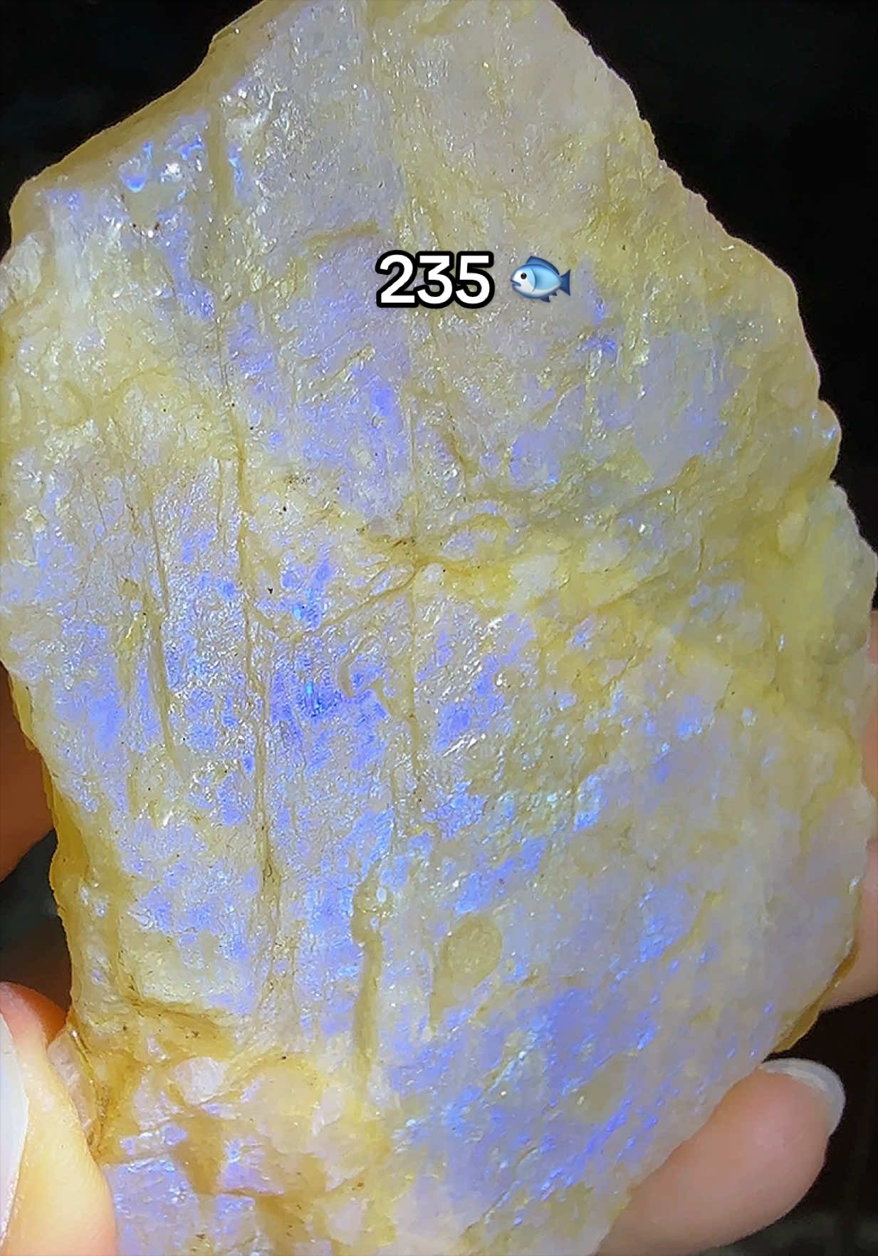 @Halen Crystal