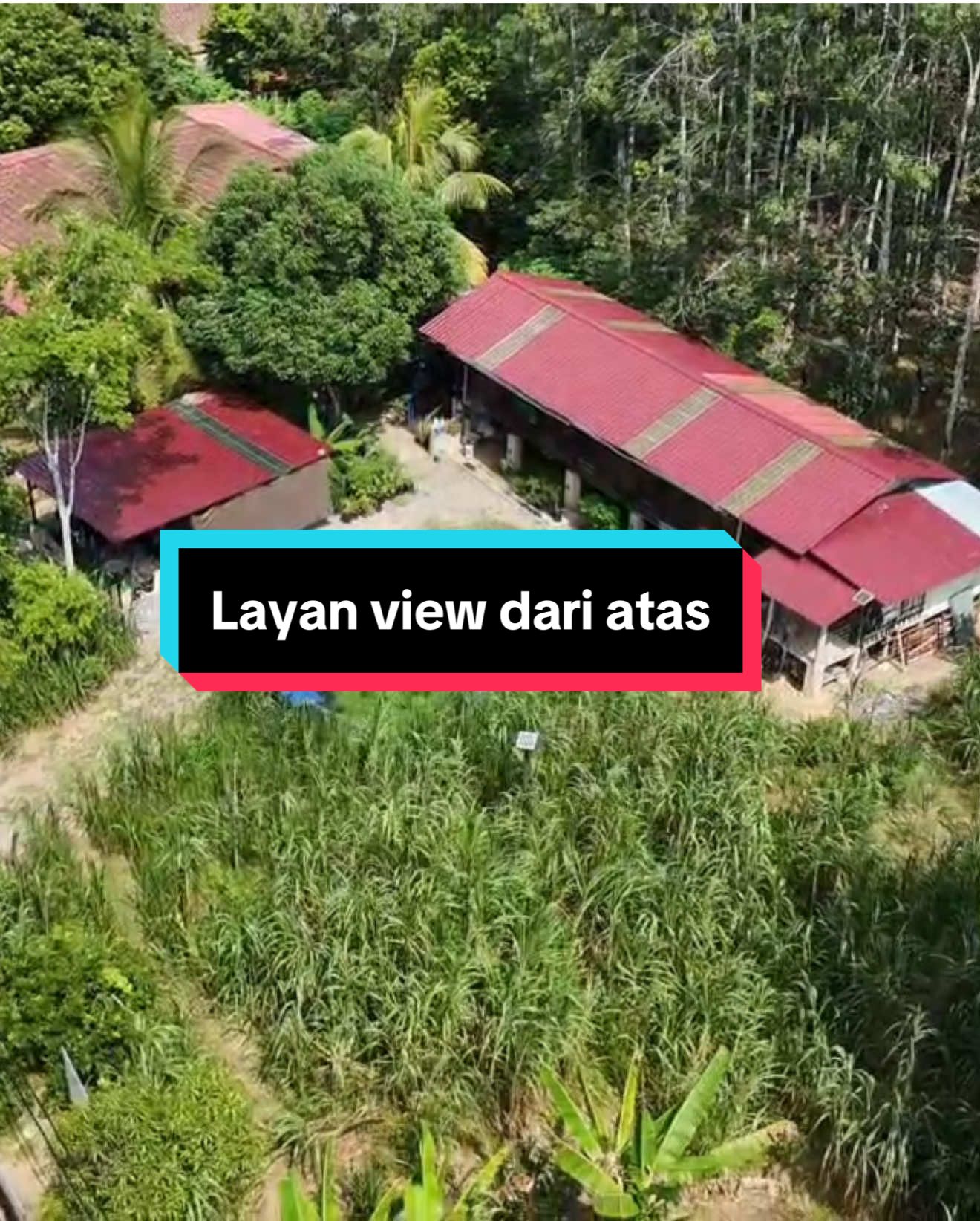 @AB Agrofarm 588