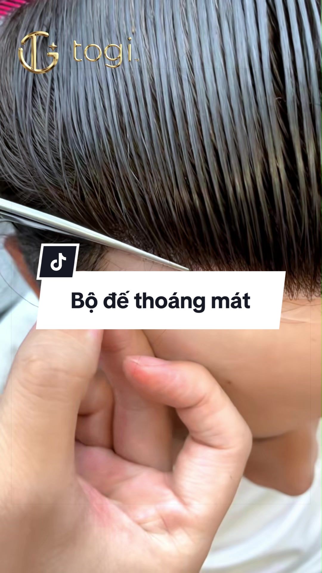 @Thái Sơn Tóc Giả