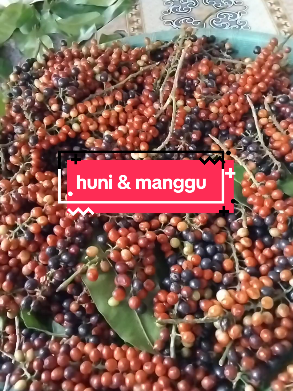 @Qy Domblang