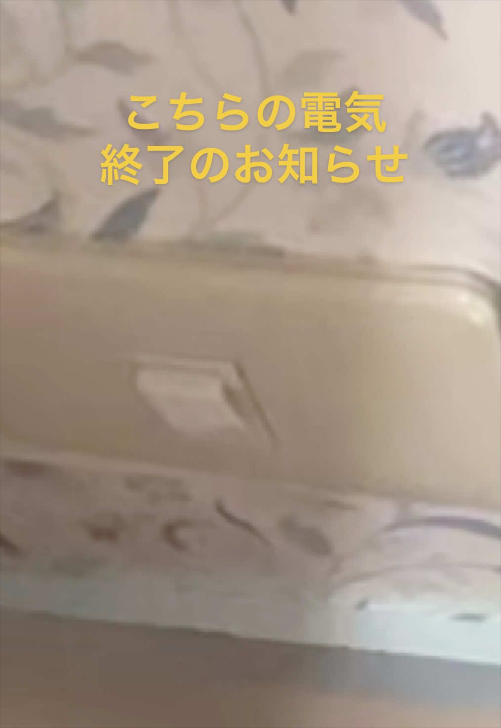 @ããããð§âïžãOne Liveã