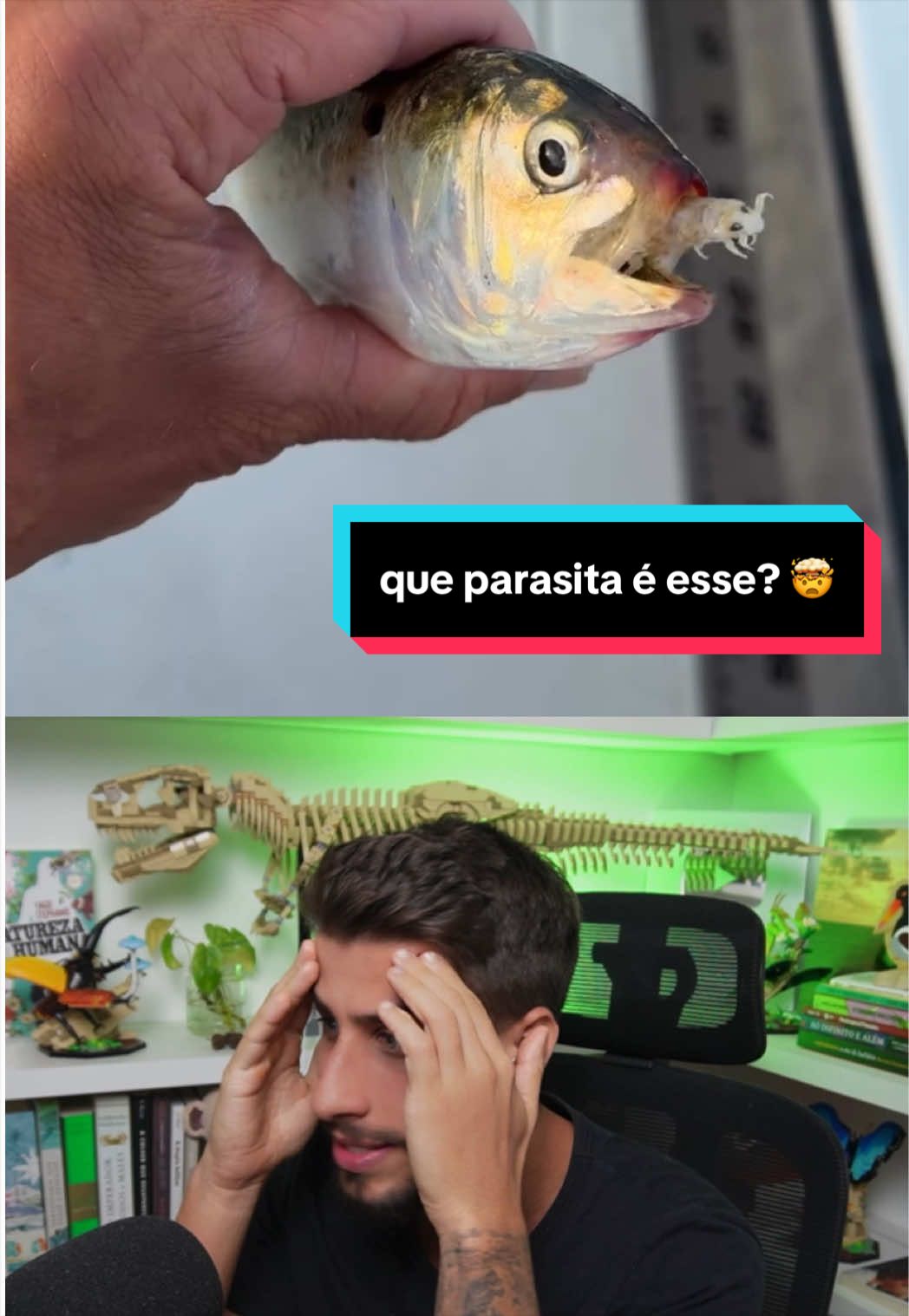 @Yago Stephano
