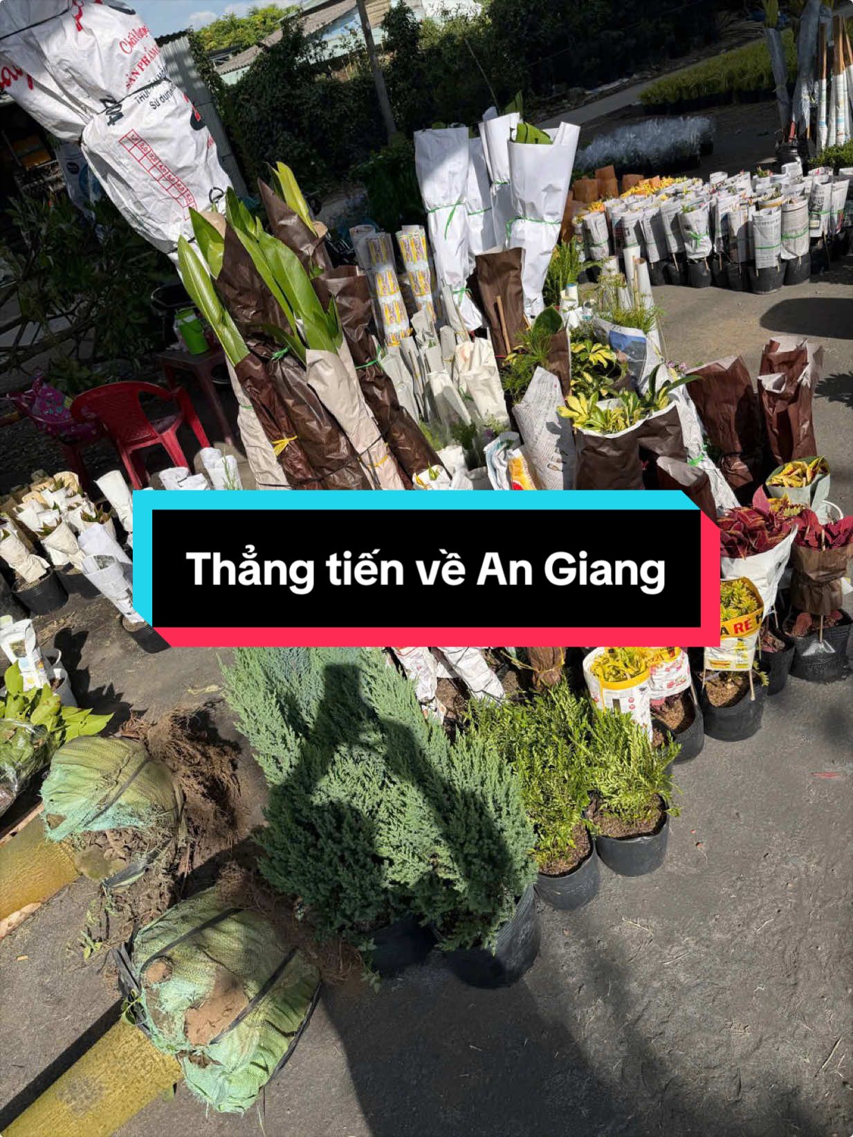 @Tiệm Lá Nhỏ