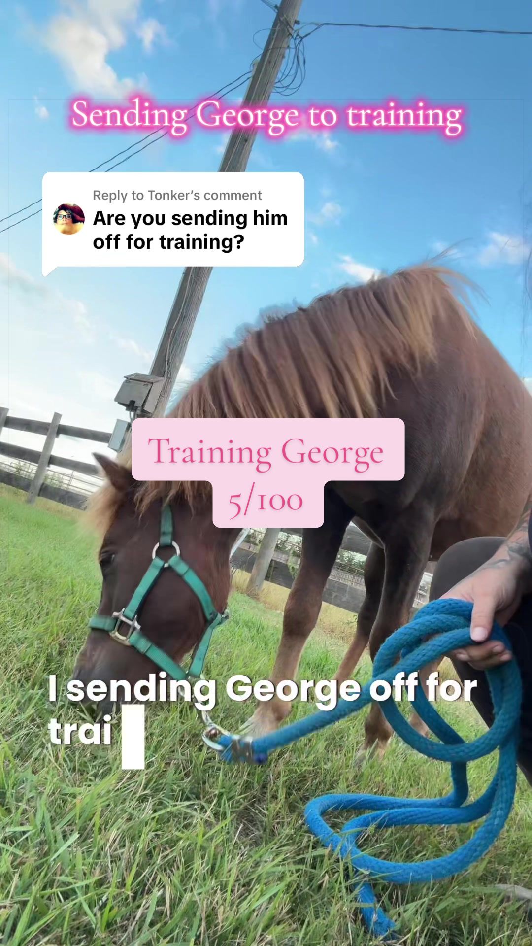 @Becca | Life + Animals 🇨🇦