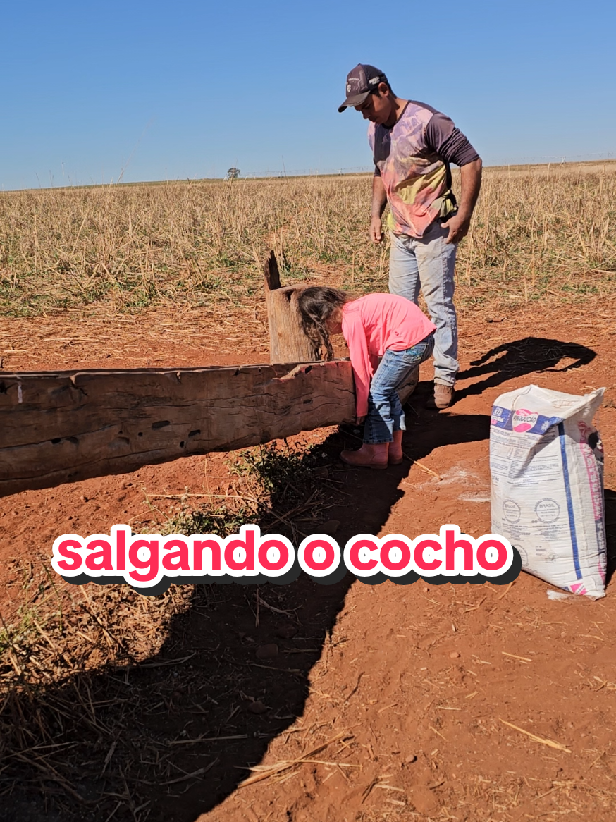 @Geovane neto