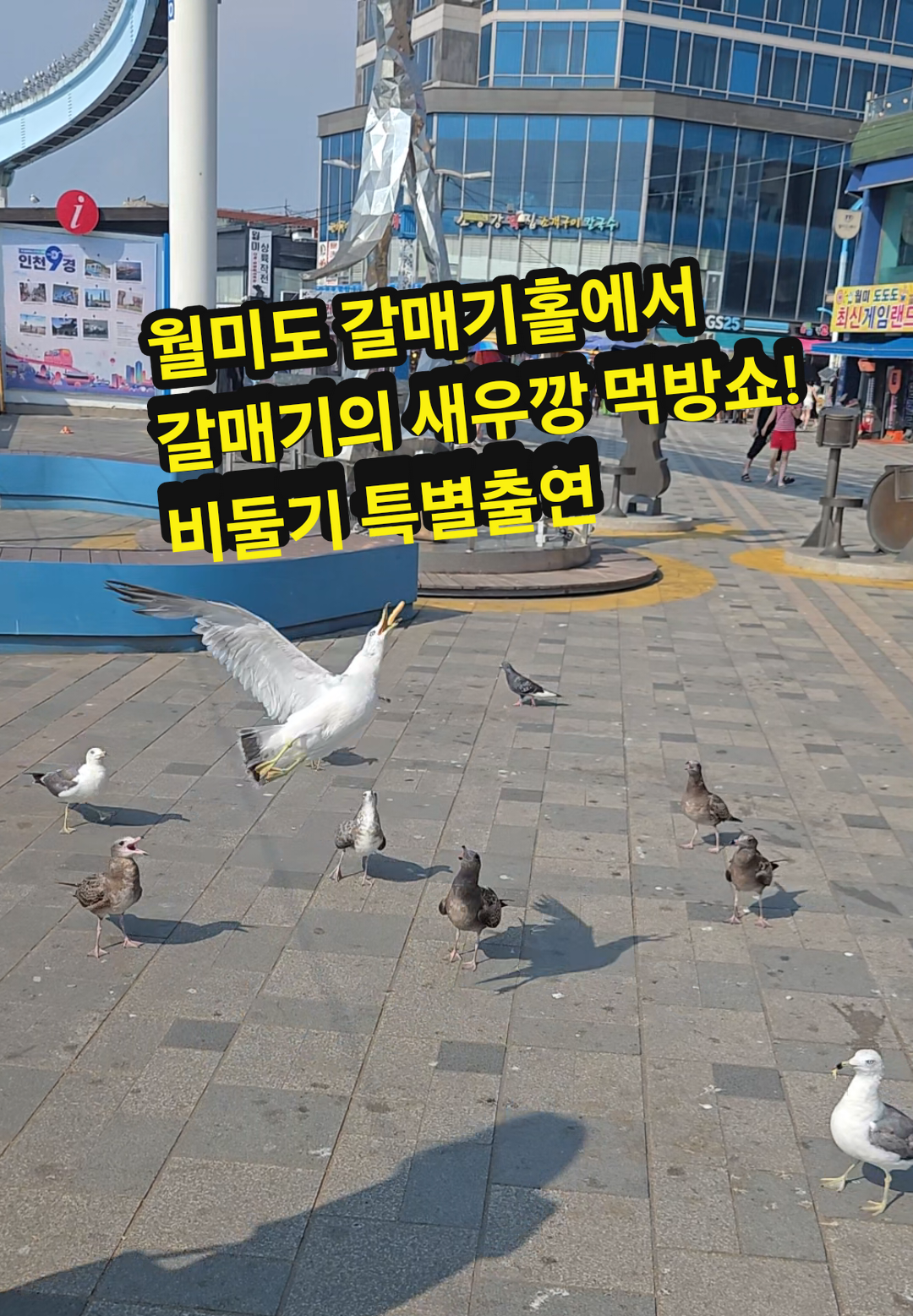 @공찬빈파파TV