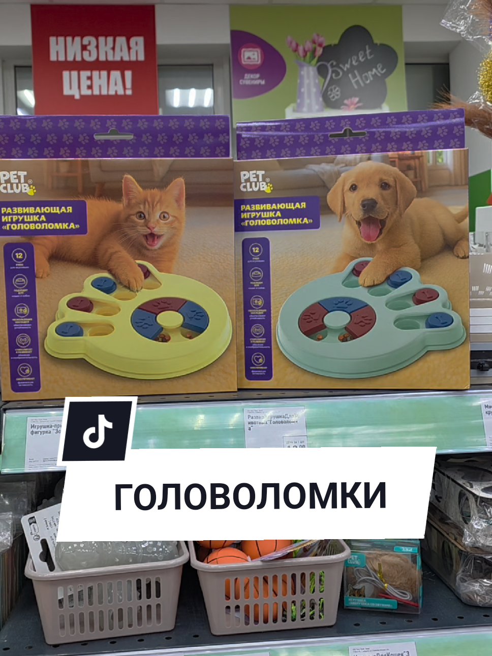 @Аня Бобруйск
