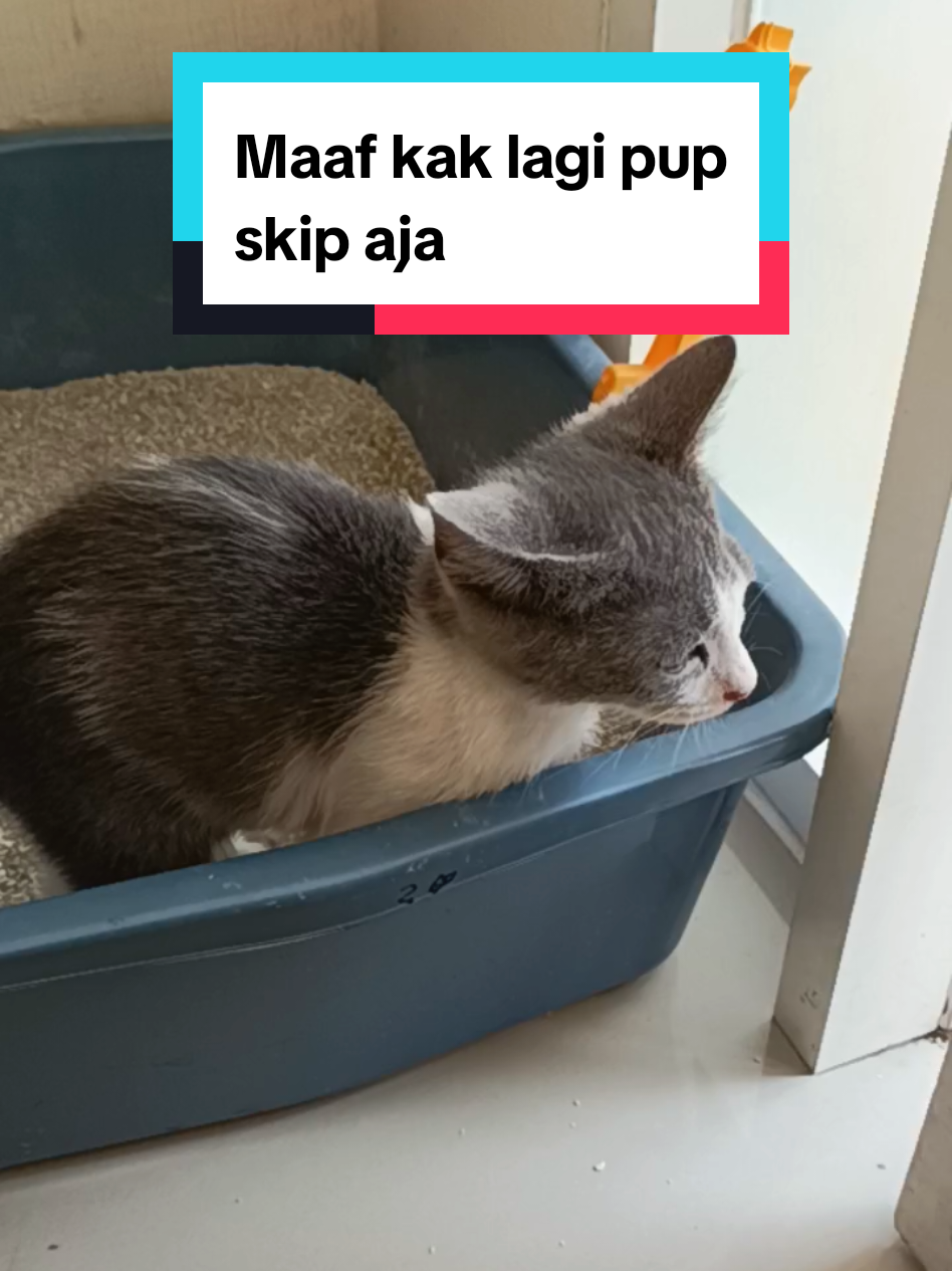 @Ontran