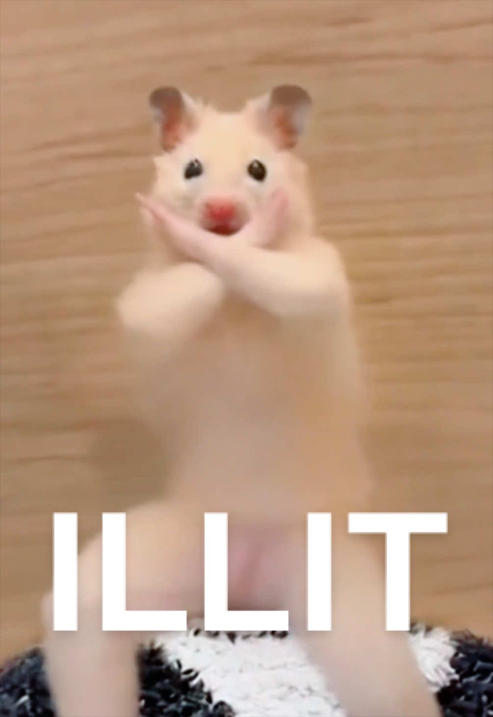 @FCham