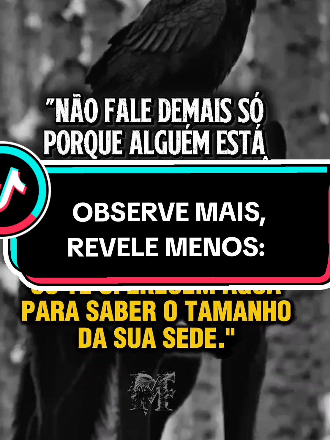 @Massa_FrasesOfc