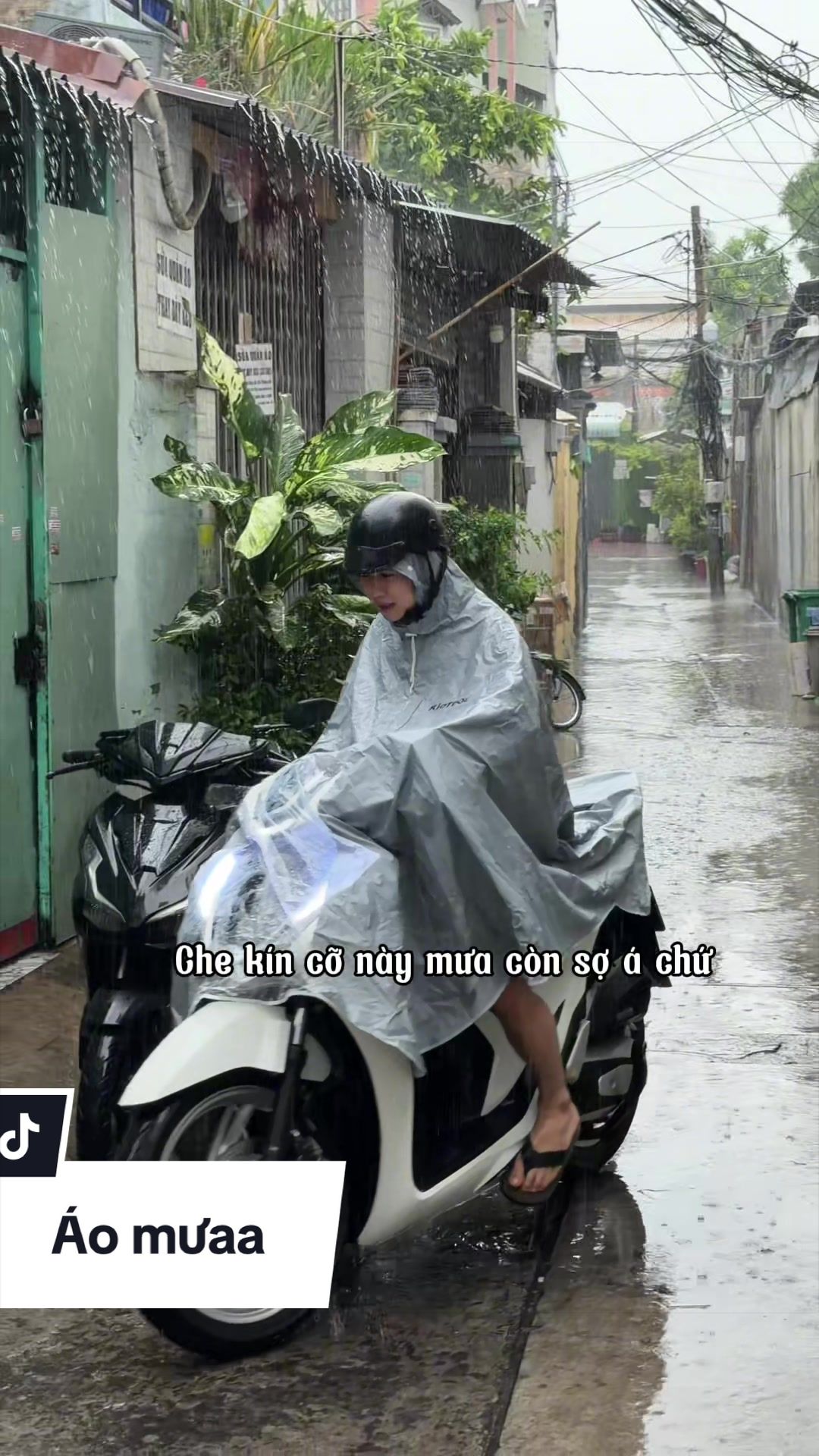 @L&ecirc; Hải