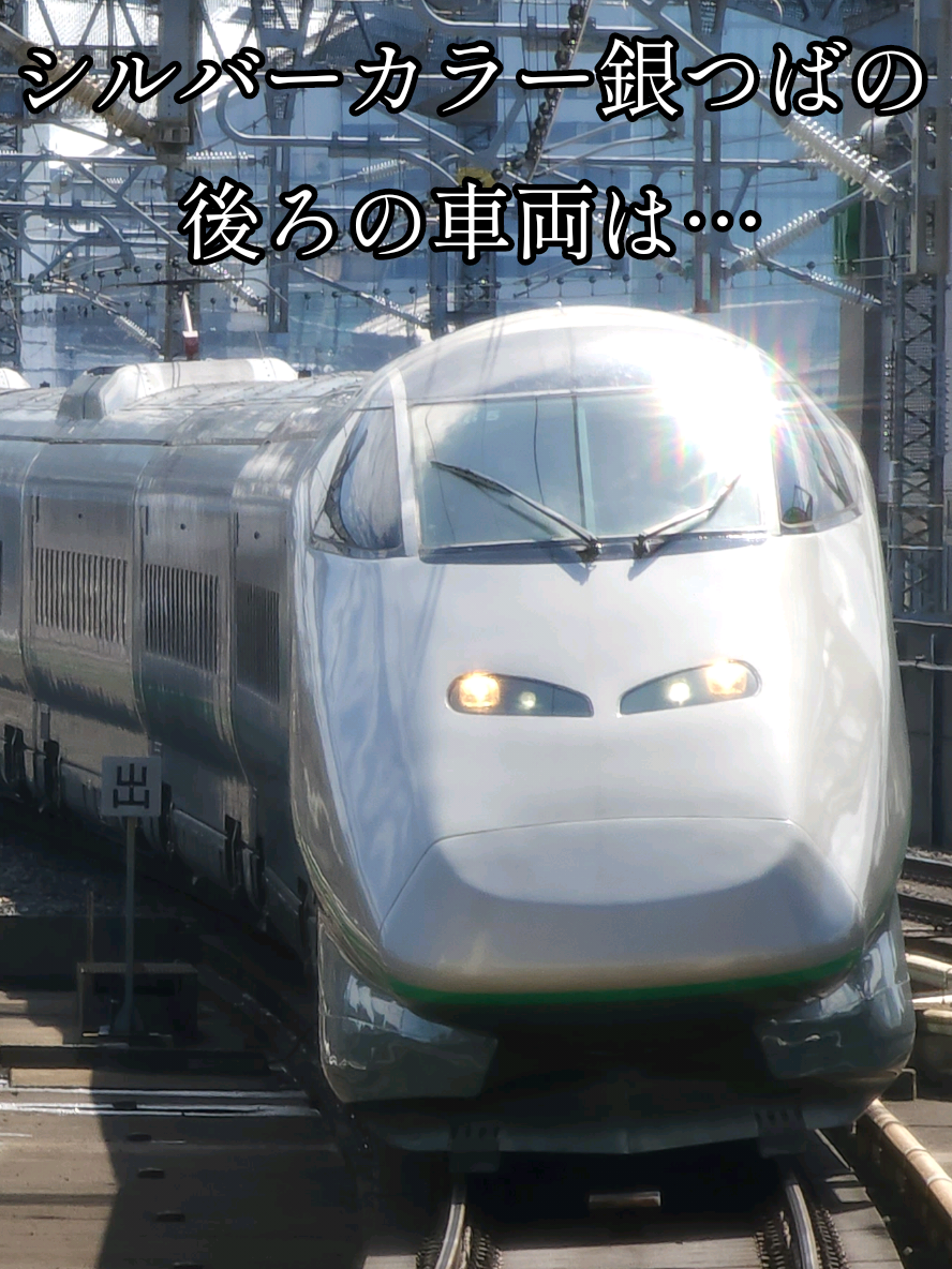 @🚅佐野武琉🚄✨