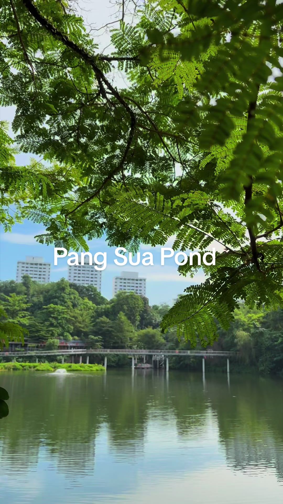 @Lèo nhèo_in Singapore✅