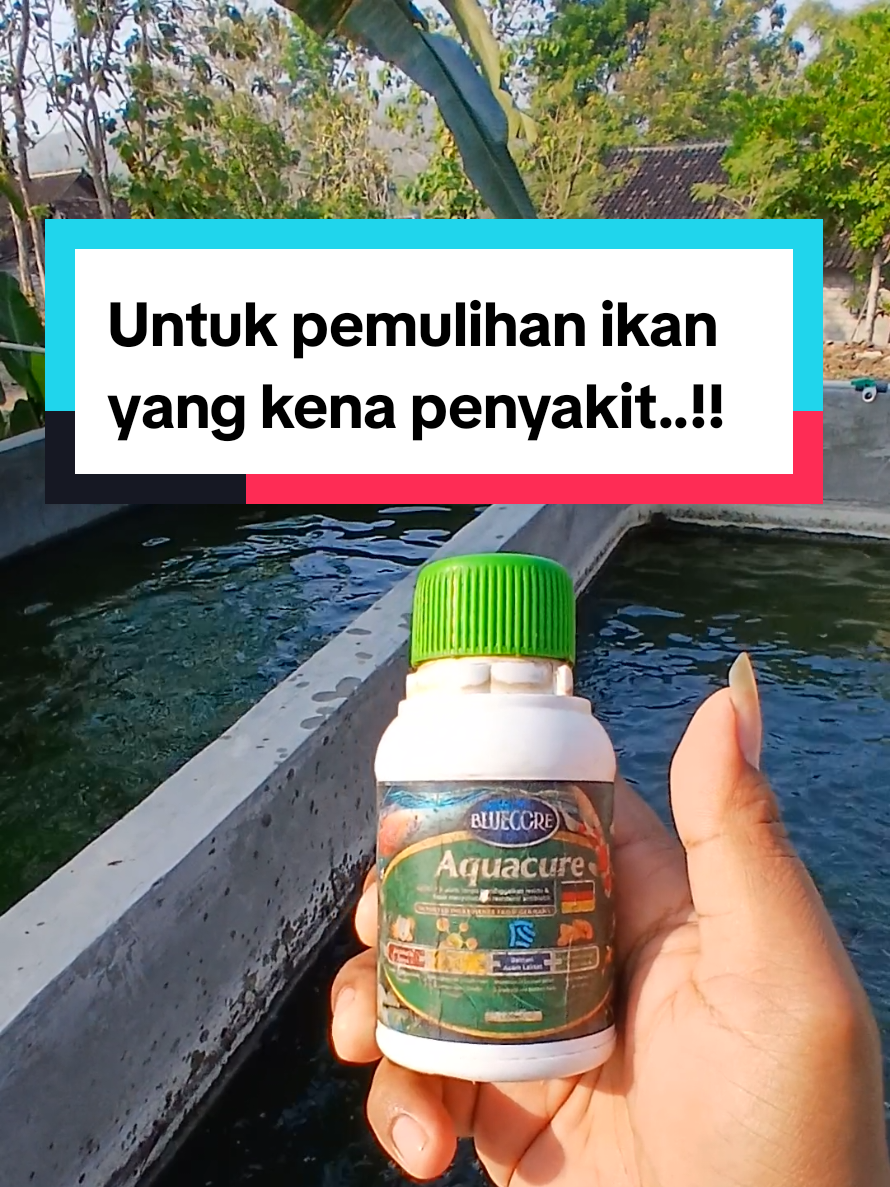 @Kang_Ewi