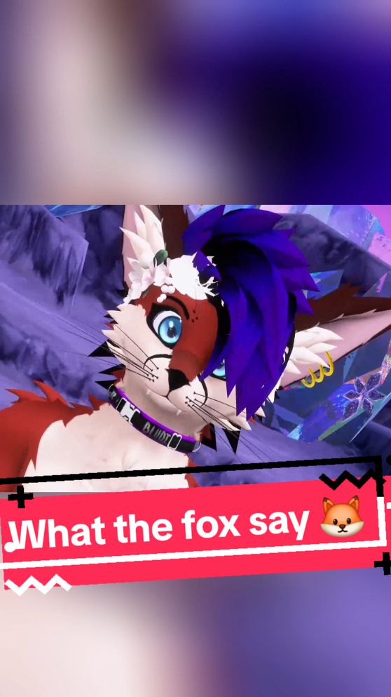 @FoxychB 🐾
