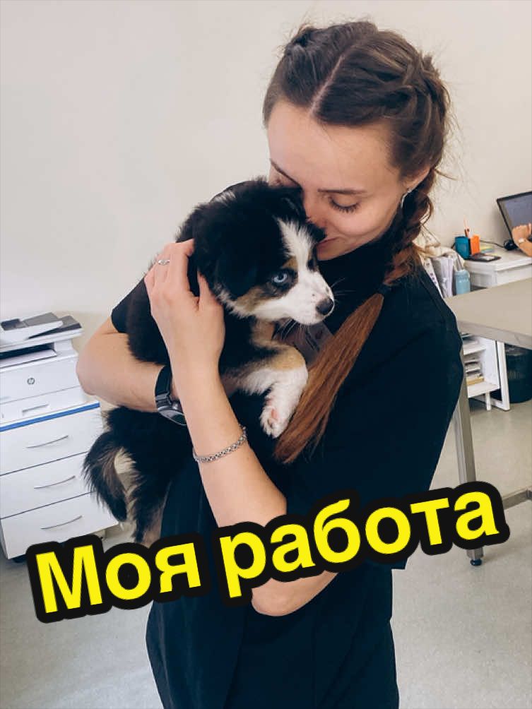 @Малыш Монти и Ди 🖤