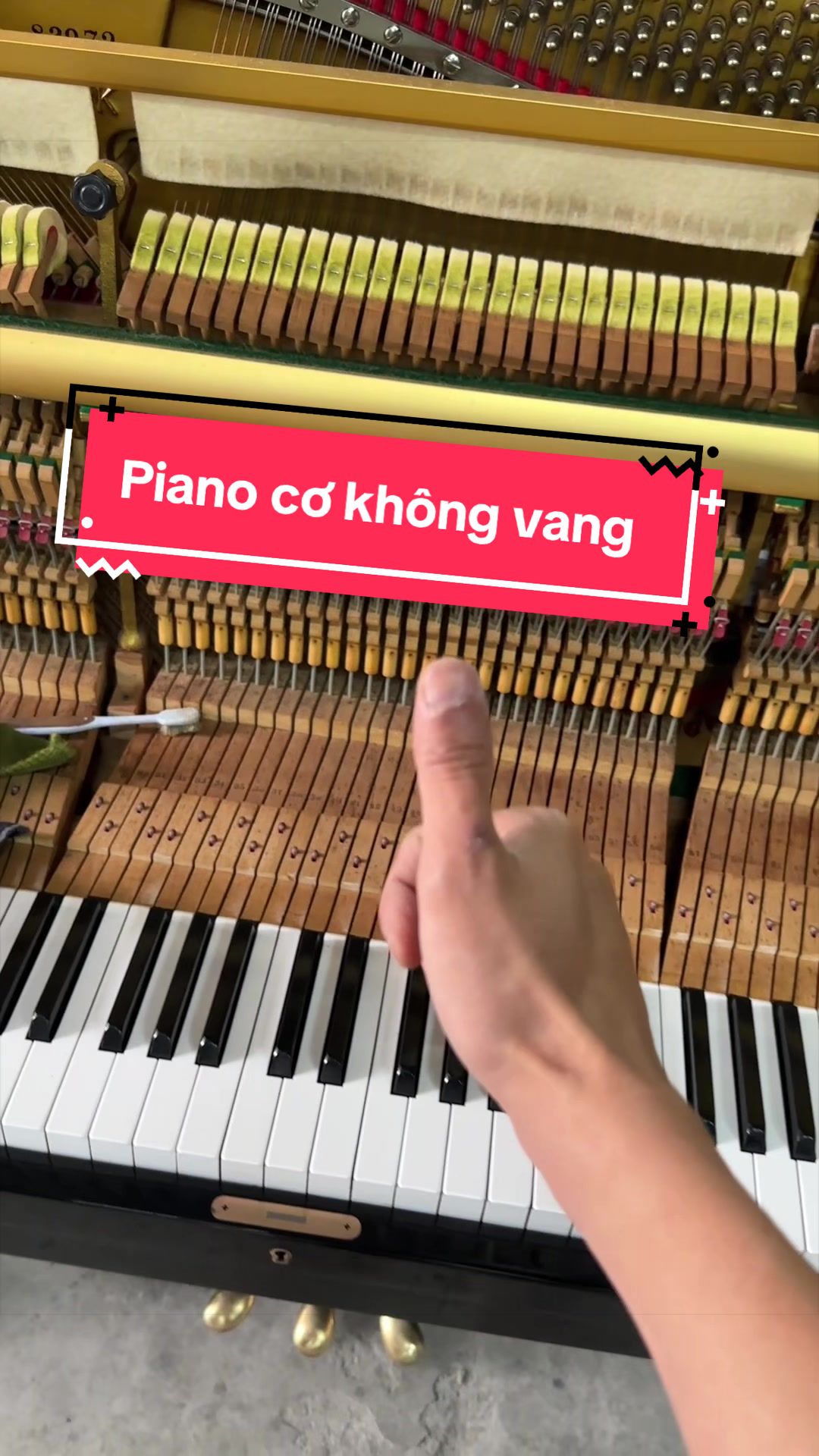 @Tr&iacute; Hiền