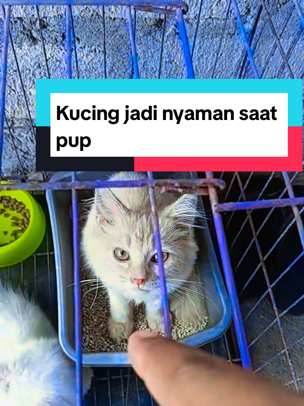 @Kang_Ewi