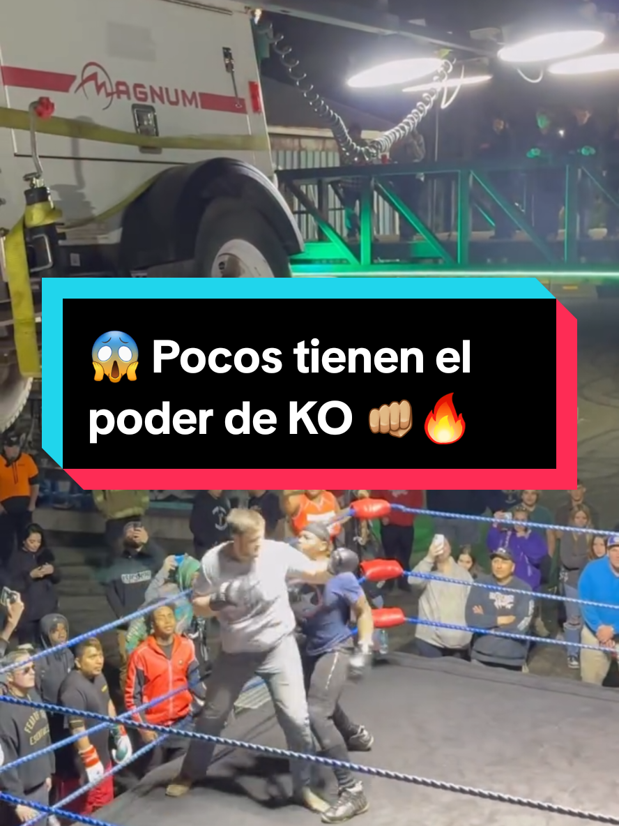 @El Club de la Violencia👊🏼💥