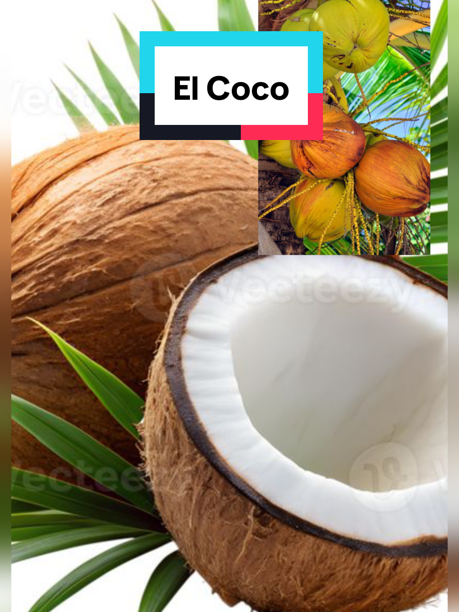 @𝐉𝐨𝐬𝐲