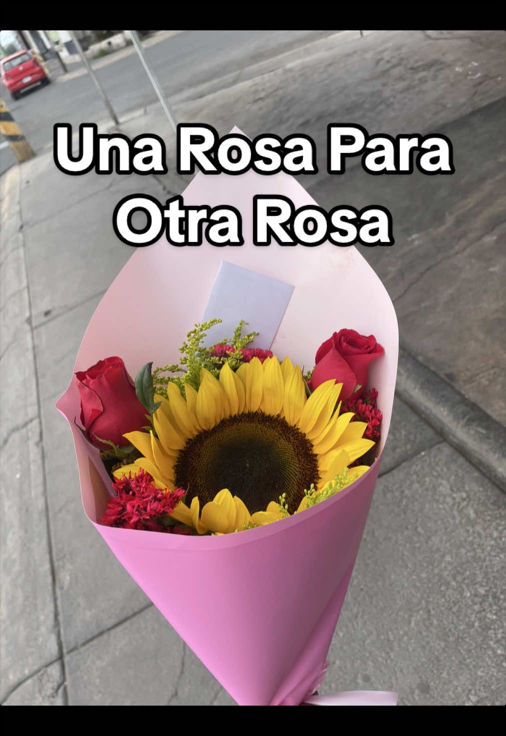 @Alberto 👑