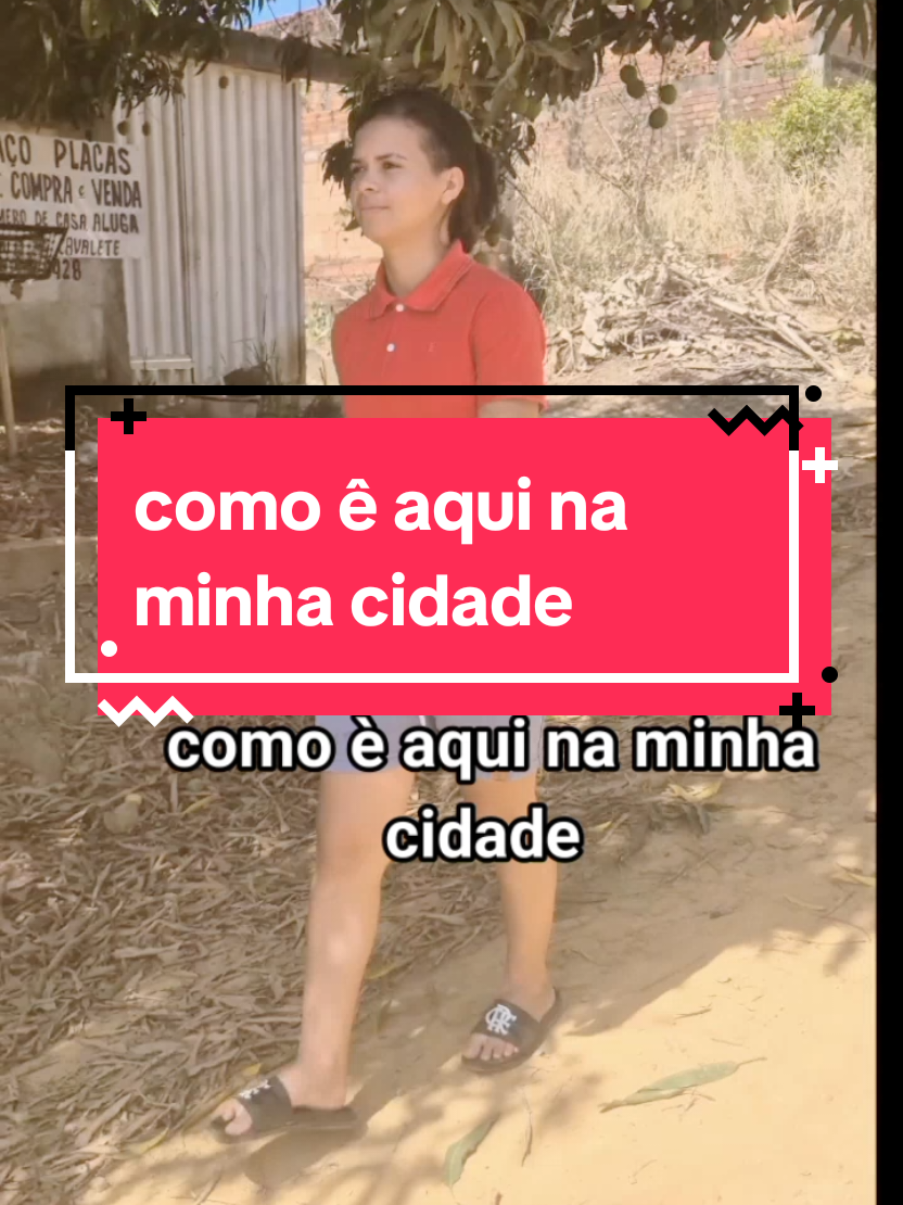 @daniely.ribeir