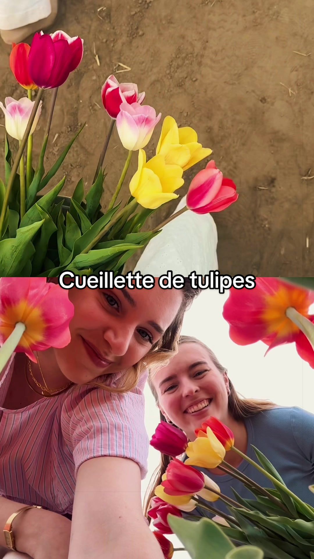 @Am&eacute;lie L&eacute;vesque