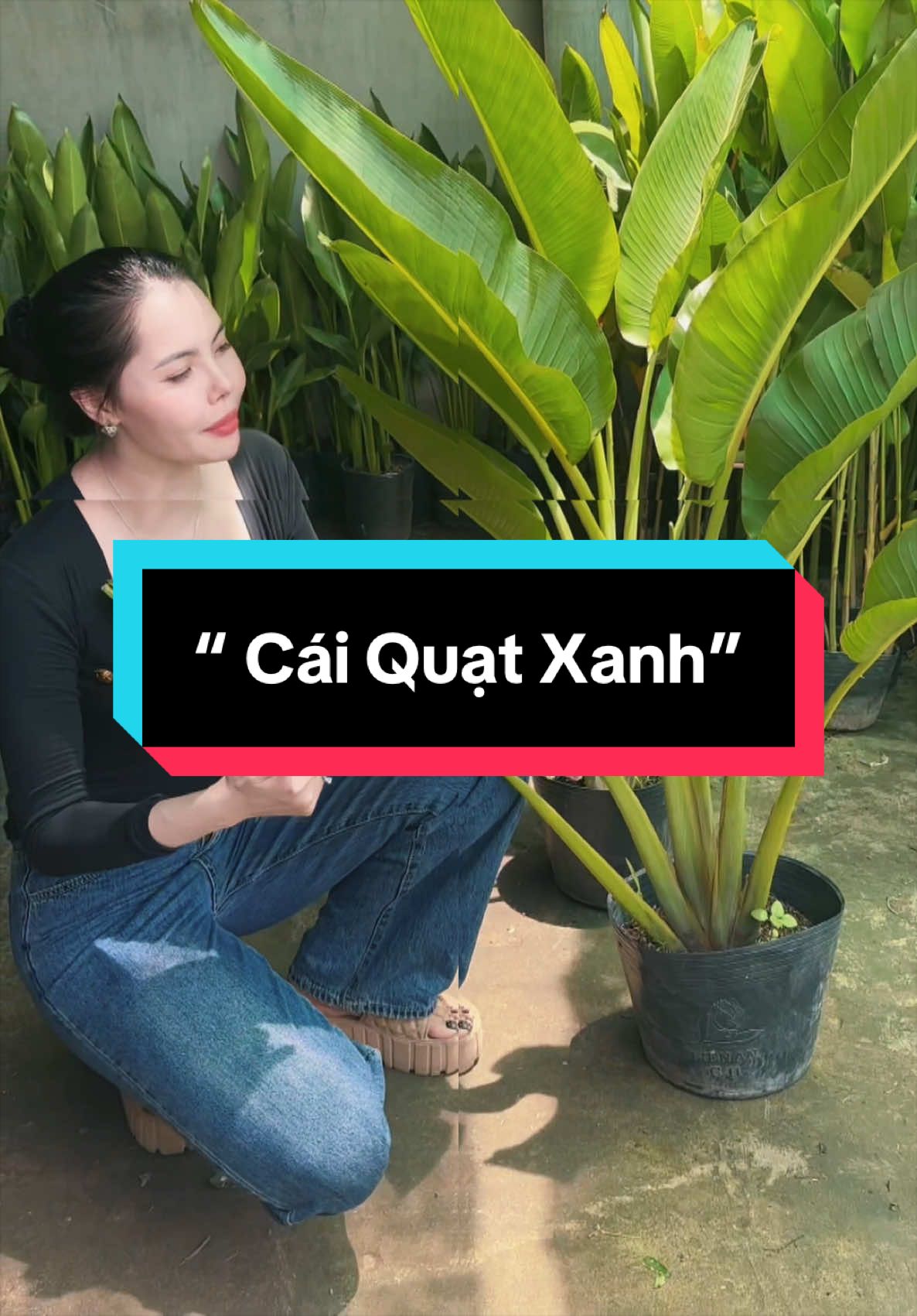 @Tiệm L&aacute; Nhỏ