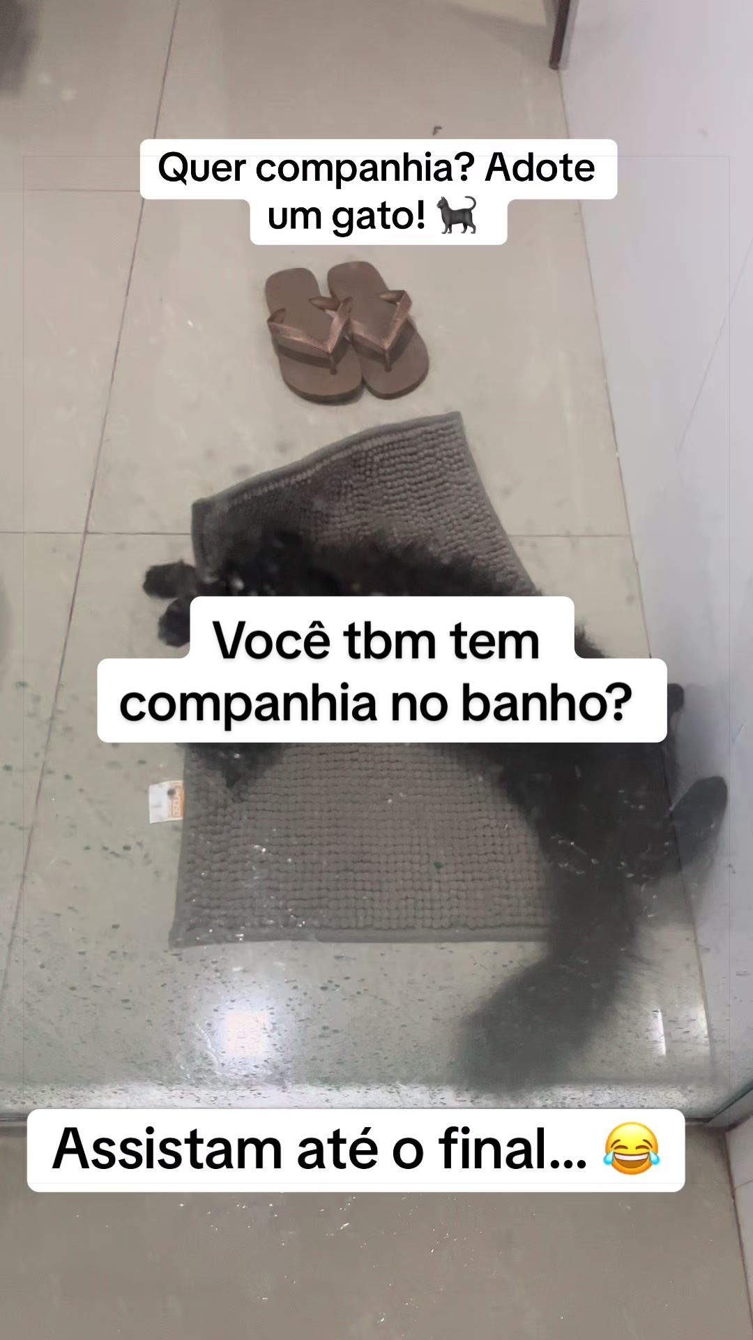 @Mariana Matos ✨