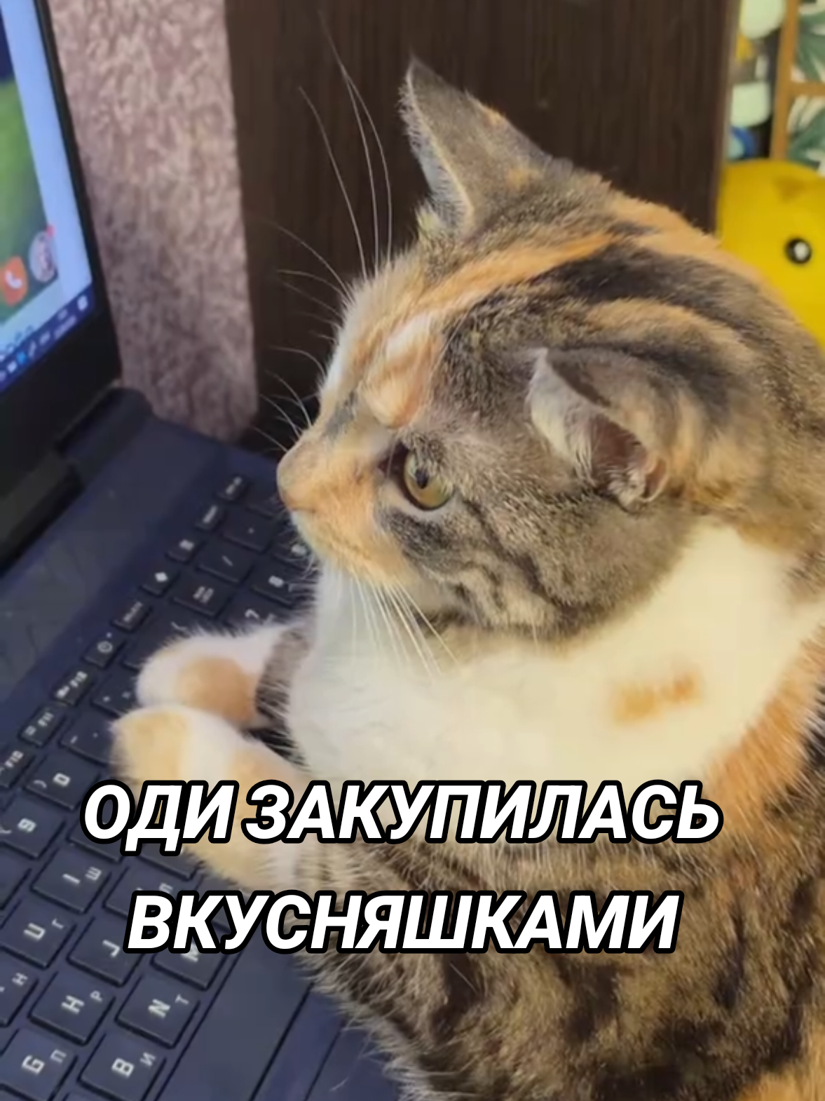 @Vlad Mivida