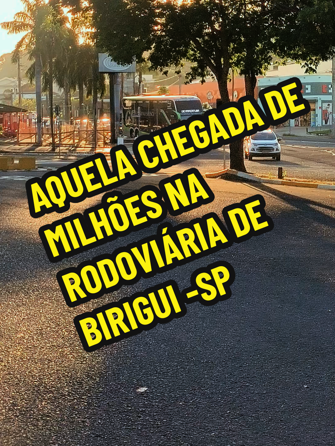 @alexbus.oficial