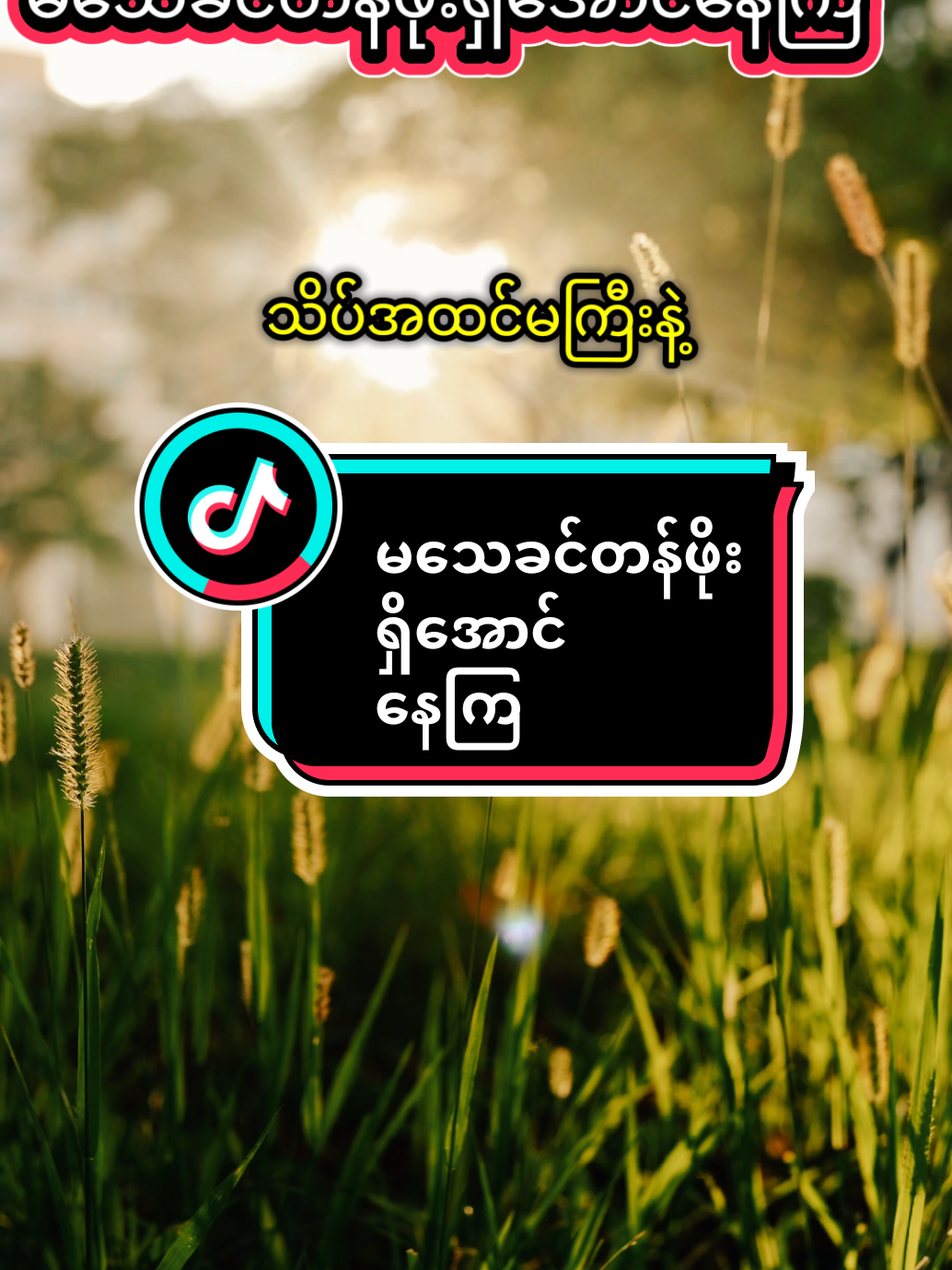 @๐๐๐ญ๐ฎ๐ซ๐ & ๐๐ก๐๐ฆ๐ฆ๐