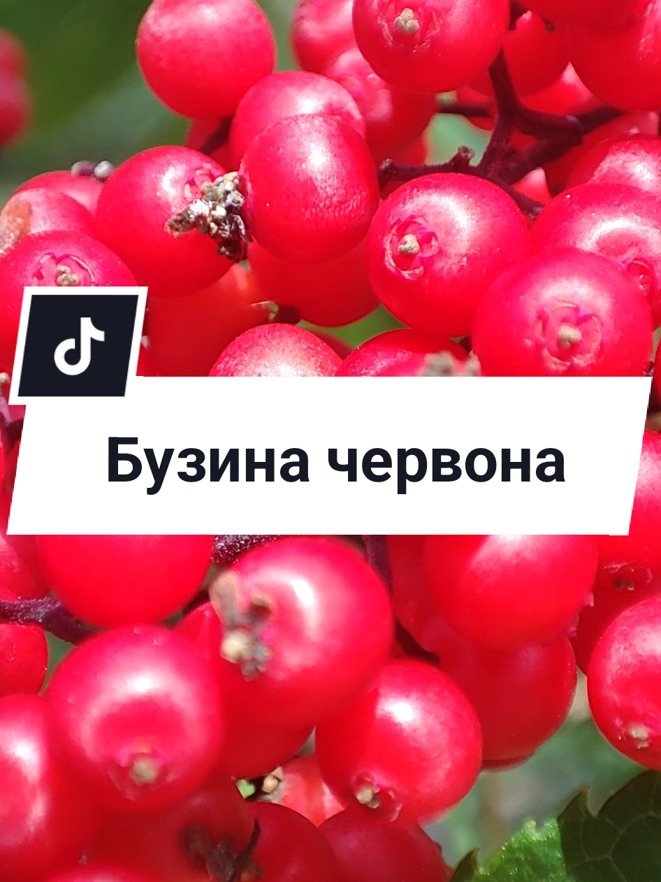 @Юрій Сірук