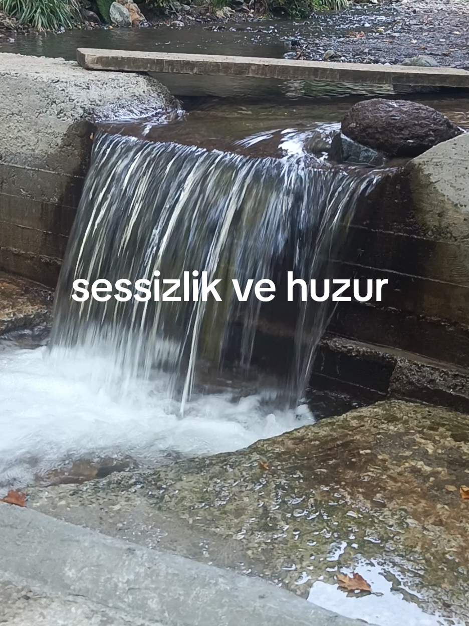 @oğuz