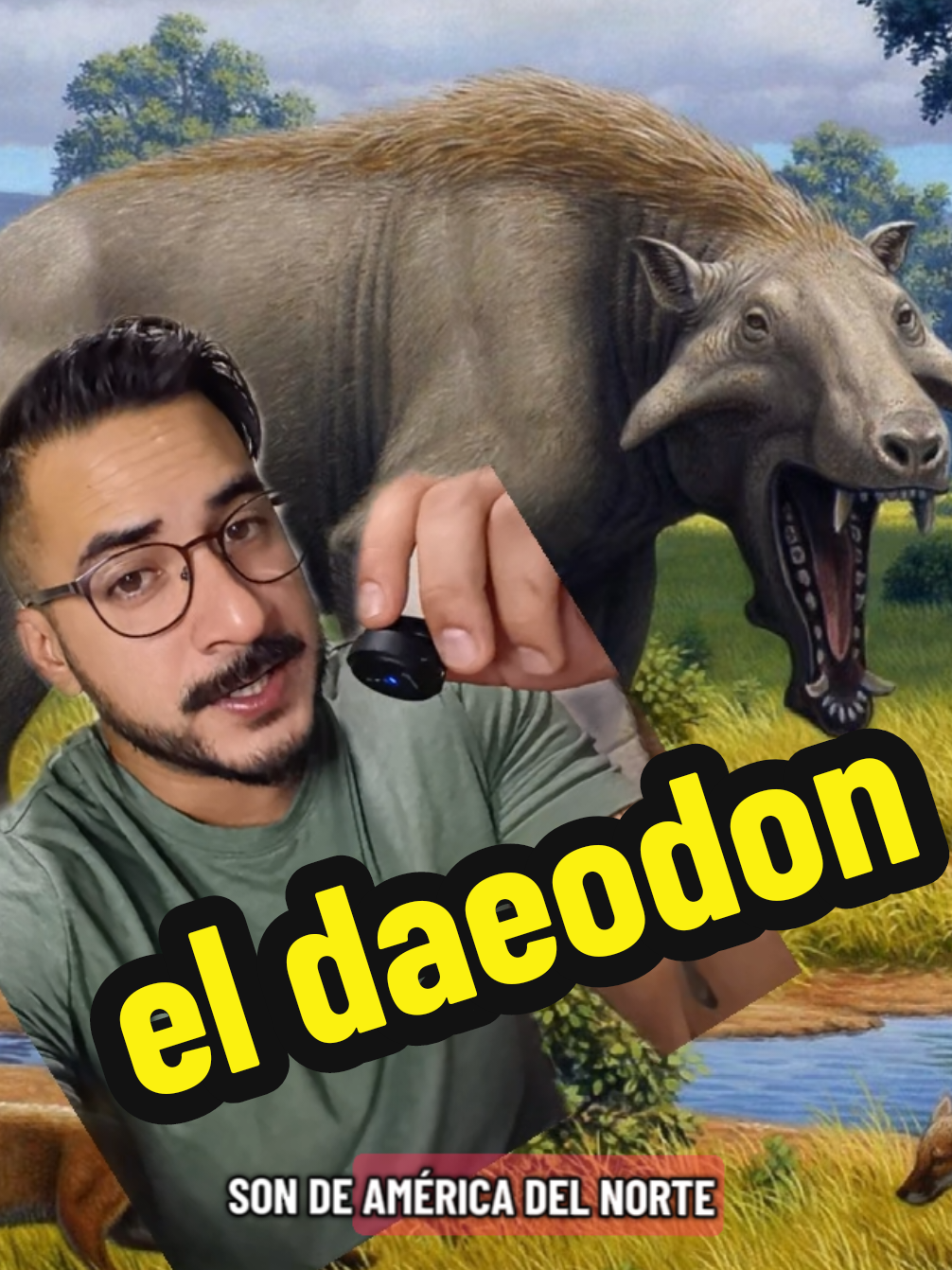 @nolosejose