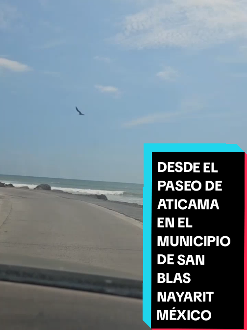 @Eliseo López