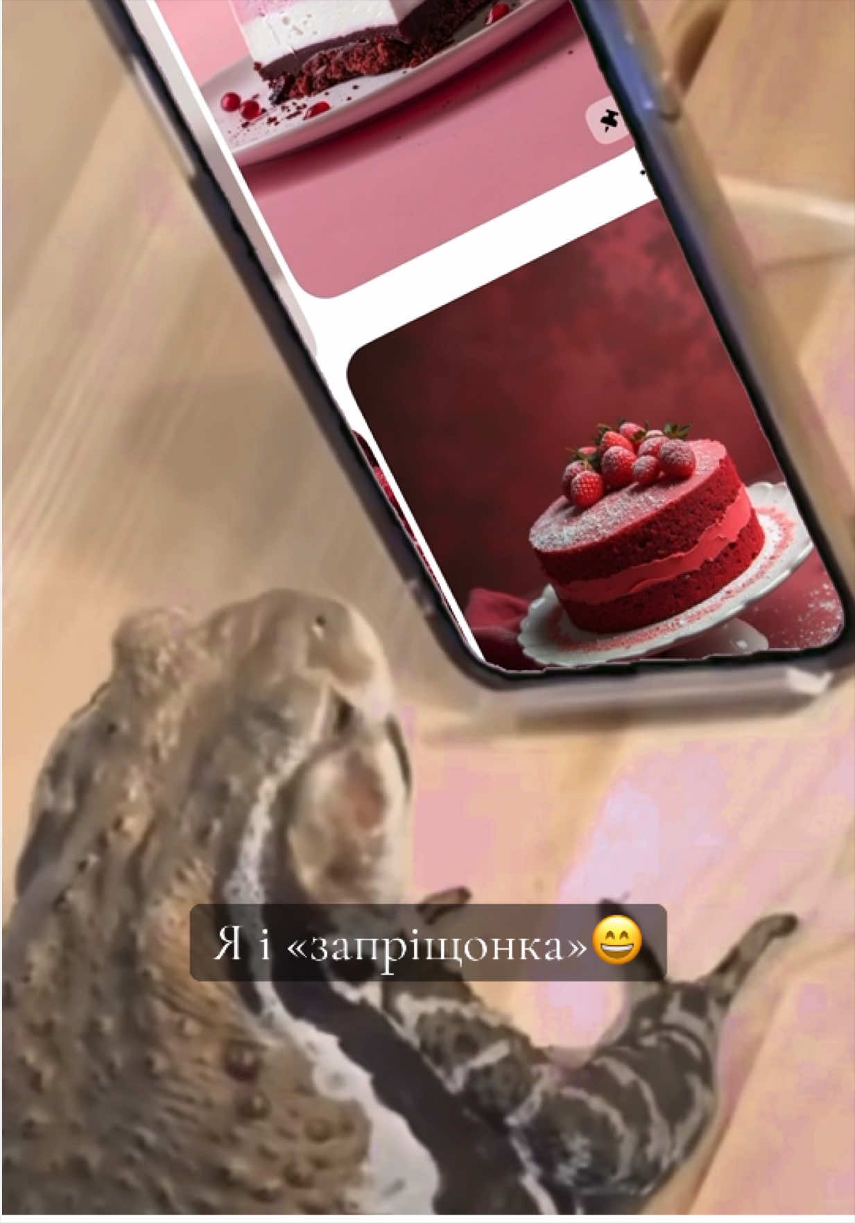 @just.cooking