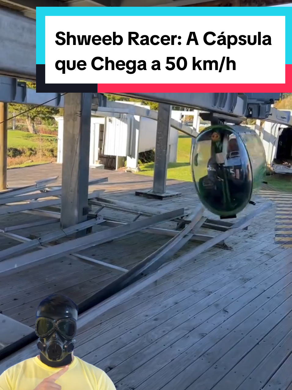 @Mundo da Curiosidades