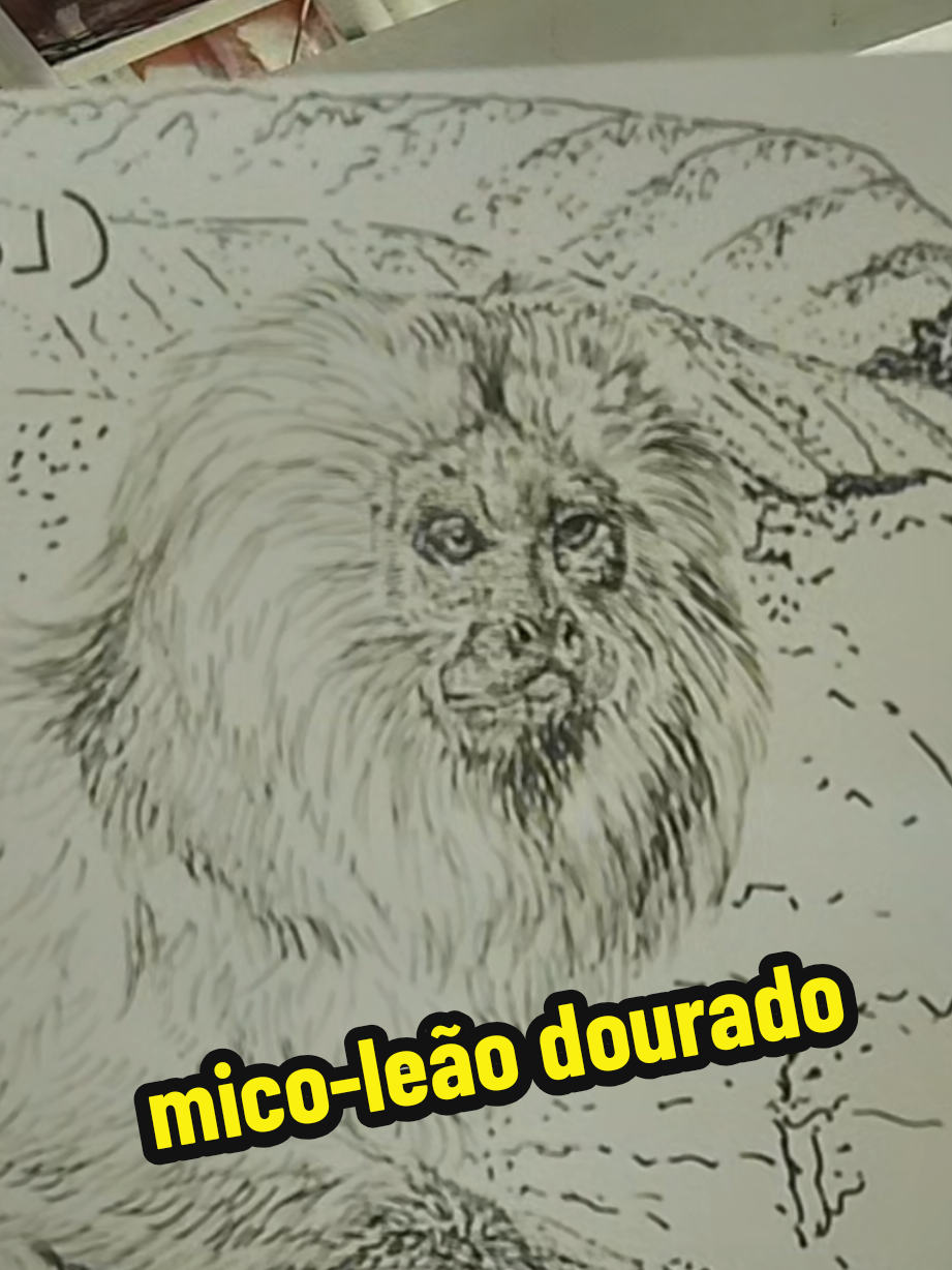 @Afonso Henrique