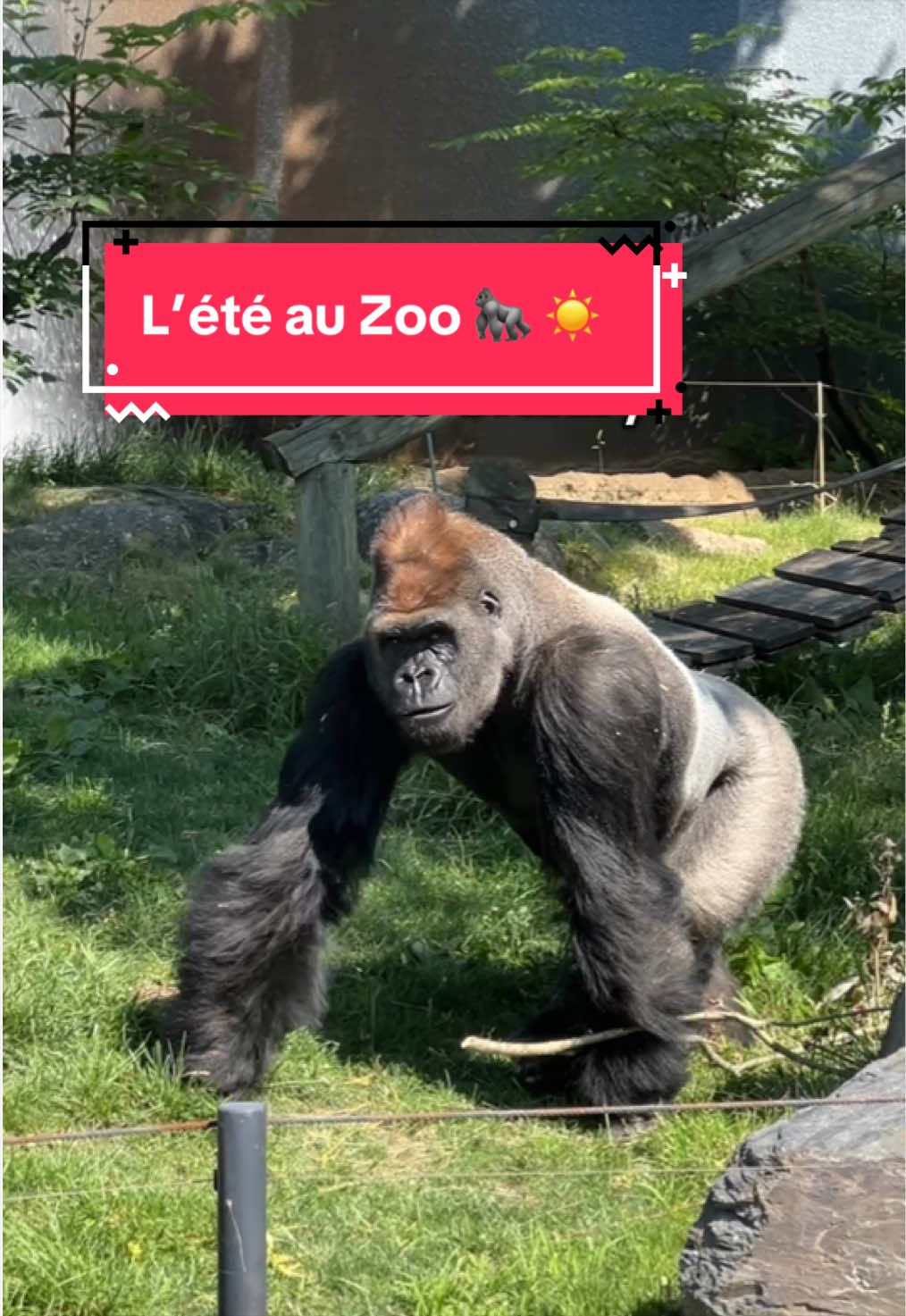 @Zoo de Granby