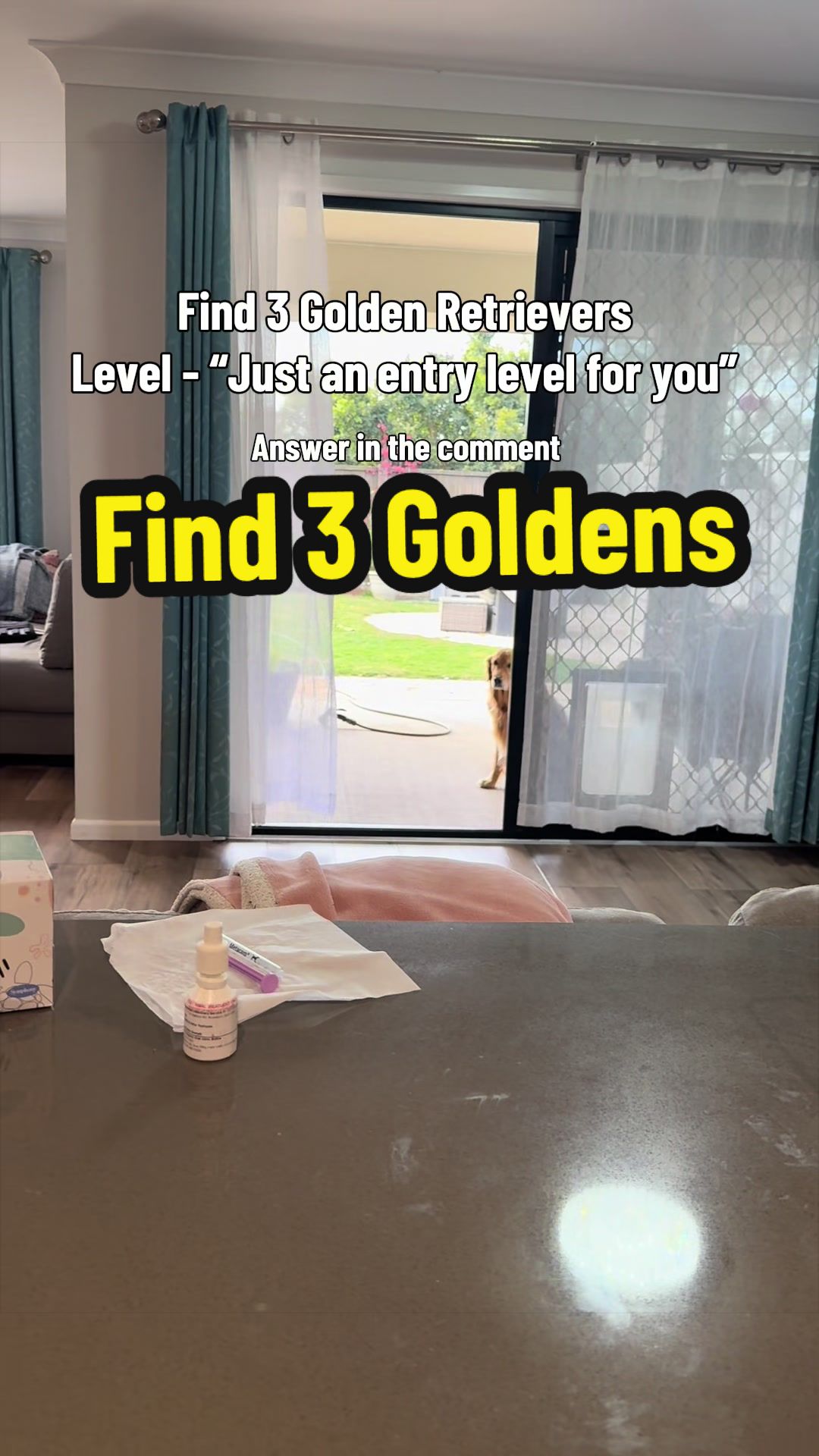 @3goldenretriever