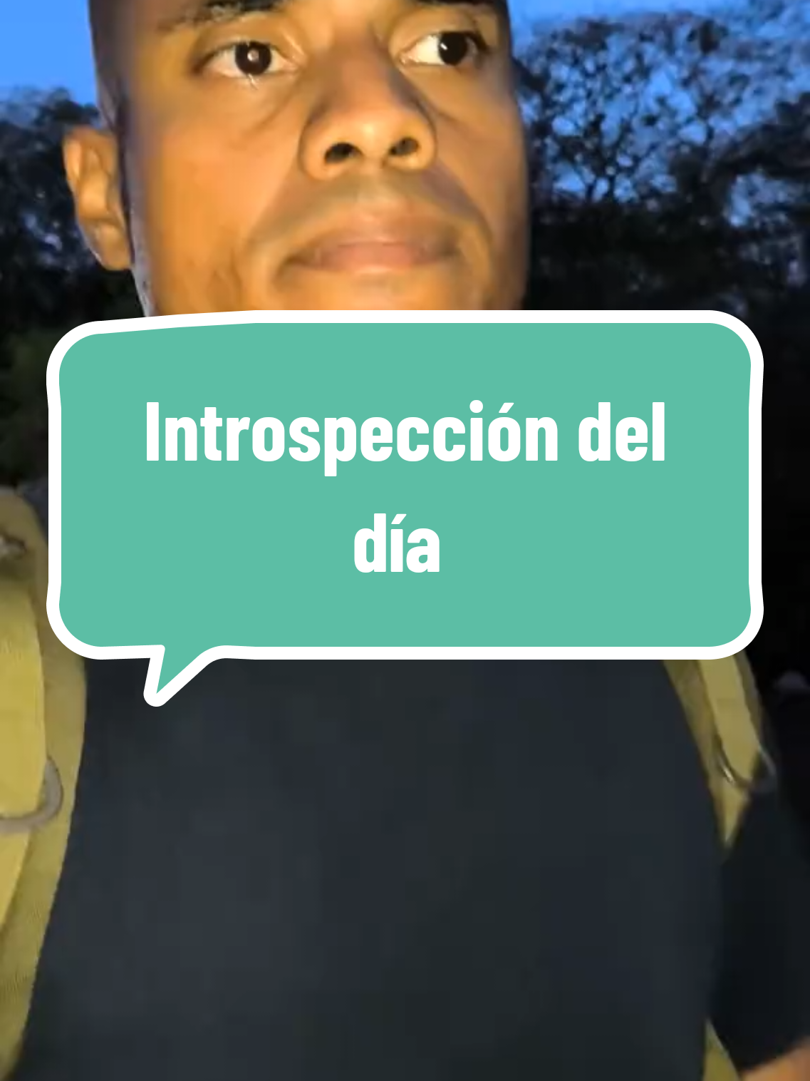@Luis Pacheco • Trainer 🐢