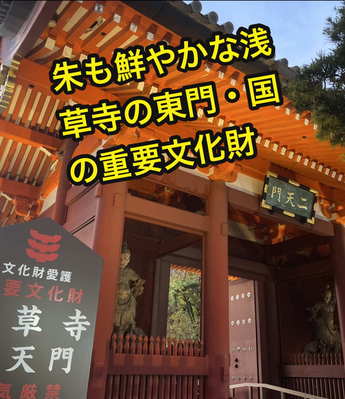 @DAIBA